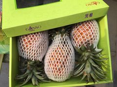 -GANSO元祖食品(双井店)