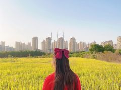 -花溪公园