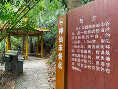 -滴水岩森林公园