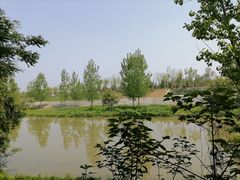 -洨河生态公园