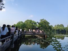 -西湖游船