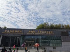 -武汉园博园(武汉自然博物馆)