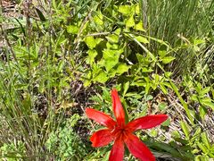 -白草畔自然风景区