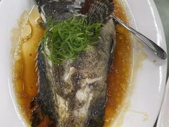 -双月饭店·20年老字号(新村店)