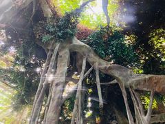 -龙达温泉生态城