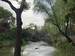 -上海醉白池公园