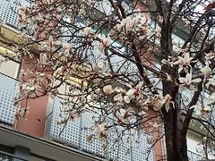 -南京晨光1865创意产业园