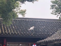 -院子餐厅·大锅菜·老杭帮(桥西直街店)