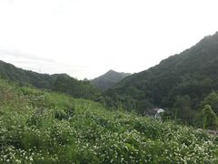 -牛背梁国家森林公园