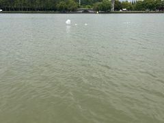 -上海月湖雕塑公园
