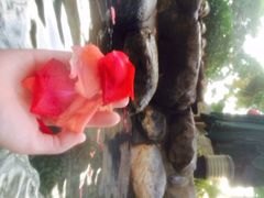 iphone_upload_pic-厦门日月谷温泉渡假村