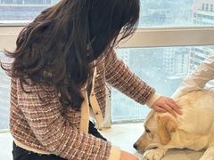 -共舞时光猫咖·狗咖(新街口店)