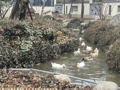 -太白山御龙湾温泉