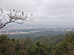 -紫金山山顶公园