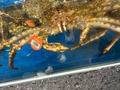 -盒马鲜生(枣园路店)
