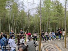 -宁波浙东大竹海景区