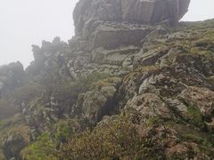 -秦岭风景区