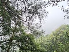 -缙云山景区