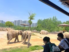 -杭州野生动物世界