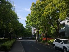 -张江微电子港·地面停车场