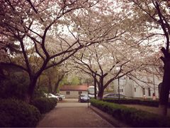 -湖北中医药大学(昙华林校区)