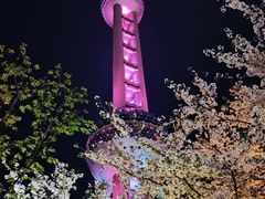 -东方明珠广播电视塔