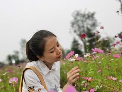 -汉长安城未央宫国家考古遗址公园