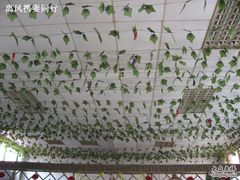 环境其实一般-皇后阿龙烤吧(原泉城路店)