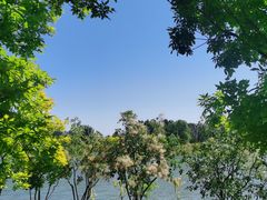 -东郊湿地公园