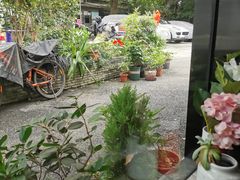 -家烧面馆【南山路知名经典面食】