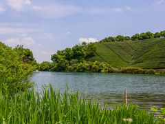 -龙坞茶村