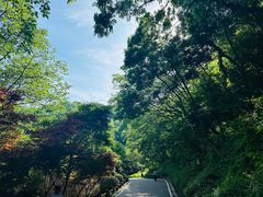 -南京市江宁方山