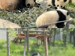 -西安钟楼