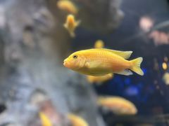 -福州罗源湾海洋世界旅游区