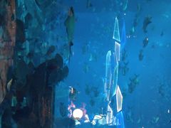 -亚特兰蒂斯•OSSIANO奥西亚诺海底餐厅