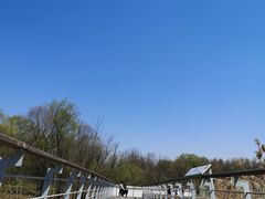 -西湖风景区-江洋畈生态公园