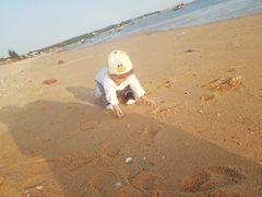 -东海岛旅游度假区