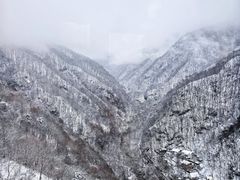 -陕西省红河谷森林公园