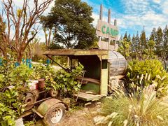 -上海长兴岛郊野公园