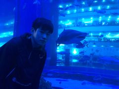 -成都浩海立方海洋公园