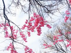 -兰陵国家农业公园