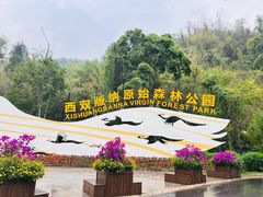 -西双版纳原始森林公园