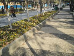 鹅卵石路-解放公园