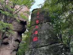 -汤旺河林海奇石景区