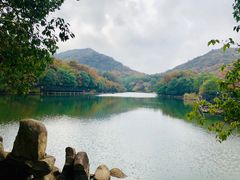 -白马涧龙池景区