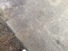 -凤竹园(修水店)