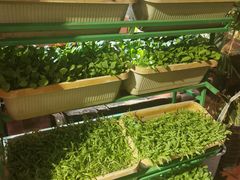 -大匠工房古船木艺术餐厅·猪肚鸡专门店(长白仙岛店)