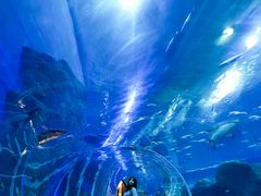 -成都浩海立方海洋公园