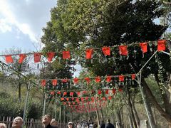 -敬亭山风景名胜区