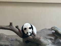 -宁波野生动物园